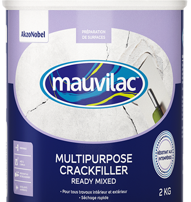 Mauvilac Multipurpose Crackfiller Ready Mixed